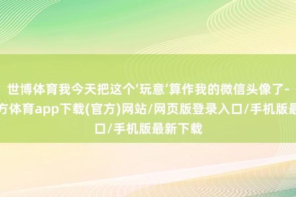 世博体育我今天把这个‘玩意’算作我的微信头像了-世博官方体育app下载(官方)网站/网页版登录入口/手机版最新下载