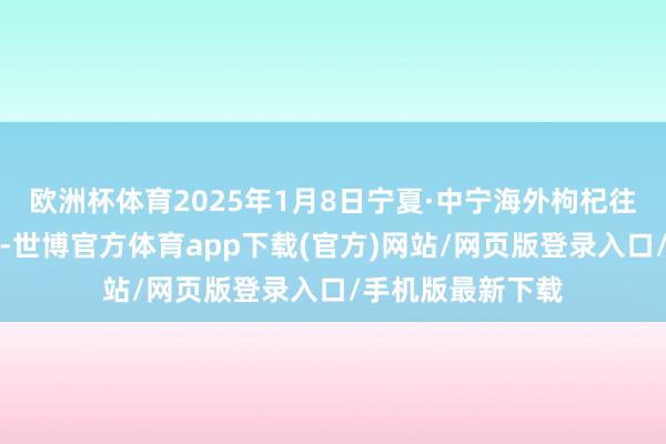 欧洲杯体育2025年1月8日宁夏·中宁海外枸杞往复中心价钱行情-世博官方体育app下载(官方)网站/网页版登录入口/手机版最新下载