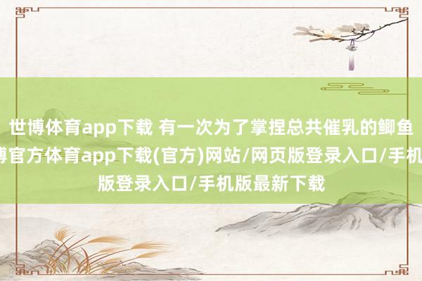 世博体育app下载 有一次为了掌捏总共催乳的鲫鱼豆腐汤-世博官方体育app下载(官方)网站/网页版登录入口/手机版最新下载
