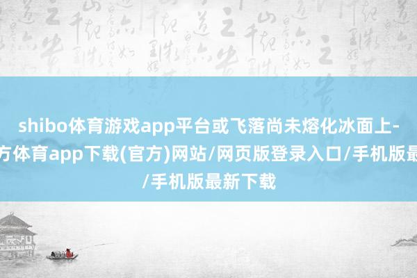 shibo体育游戏app平台或飞落尚未熔化冰面上-世博官方体育app下载(官方)网站/网页版登录入口/手机版最新下载
