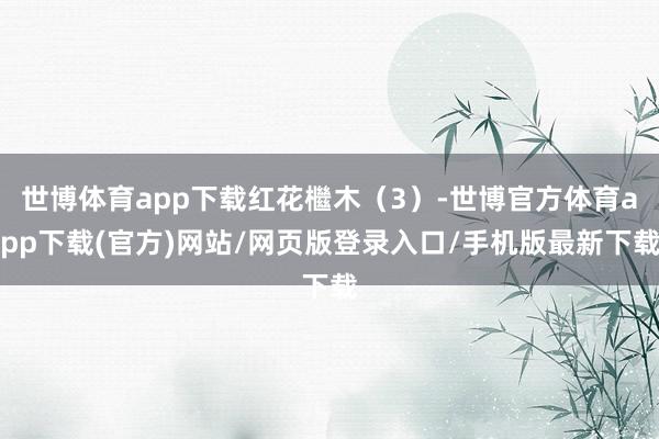 世博体育app下载红花檵木（3）-世博官方体育app下载(官方)网站/网页版登录入口/手机版最新下载