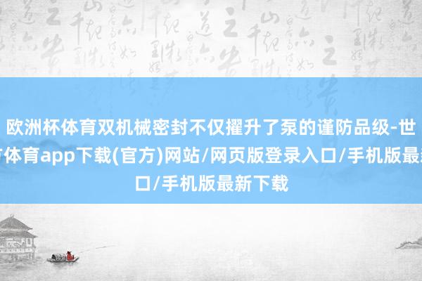 欧洲杯体育双机械密封不仅擢升了泵的谨防品级-世博官方体育app下载(官方)网站/网页版登录入口/手机版最新下载