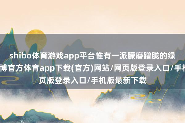 shibo体育游戏app平台惟有一派朦磨蹭胧的绿油油草地-世博官方体育app下载(官方)网站/网页版登录入口/手机版最新下载