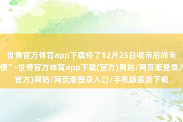 世博官方体育app下载终了12月25日收市后尚未现实转股的“震安转债”-世博官方体育app下载(官方)网站/网页版登录入口/手机版最新下载