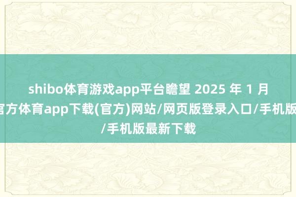 shibo体育游戏app平台瞻望 2025 年 1 月份-世博官方体育app下载(官方)网站/网页版登录入口/手机版最新下载