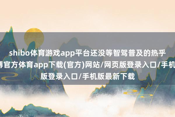 shibo体育游戏app平台还没等智驾普及的热乎劲畴前-世博官方体育app下载(官方)网站/网页版登录入口/手机版最新下载