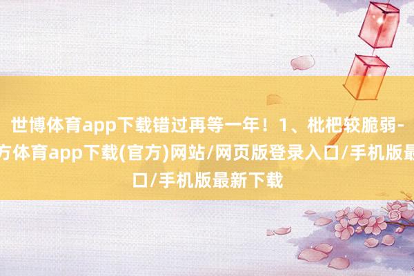 世博体育app下载错过再等一年！1、枇杷较脆弱-世博官方体育app下载(官方)网站/网页版登录入口/手机版最新下载