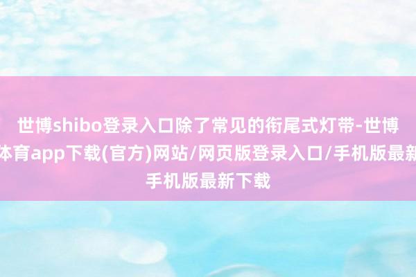 世博shibo登录入口除了常见的衔尾式灯带-世博官方体育app下载(官方)网站/网页版登录入口/手机版最新下载