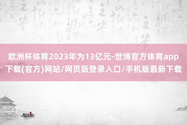 欧洲杯体育2023年为13亿元-世博官方体育app下载(官方)网站/网页版登录入口/手机版最新下载