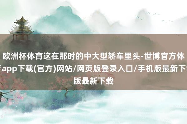 欧洲杯体育这在那时的中大型轿车里头-世博官方体育app下载(官方)网站/网页版登录入口/手机版最新下载