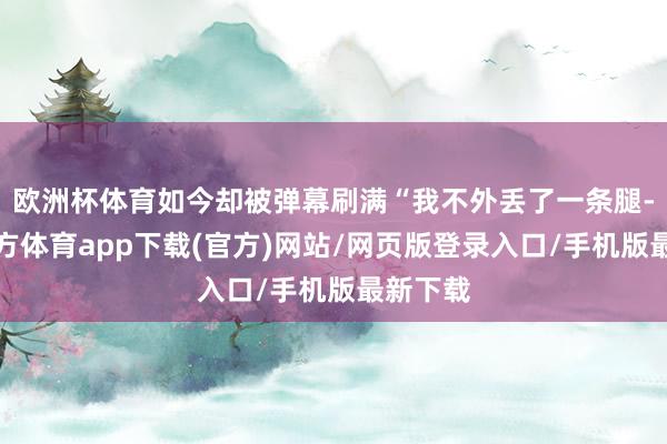 欧洲杯体育如今却被弹幕刷满“我不外丢了一条腿-世博官方体育app下载(官方)网站/网页版登录入口/手机版最新下载