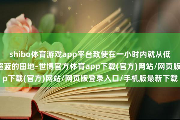shibo体育游戏app平台致使在一小时内就从低于超一水平跃升至超越超蓝的田地-世博官方体育app下载(官方)网站/网页版登录入口/手机版最新下载