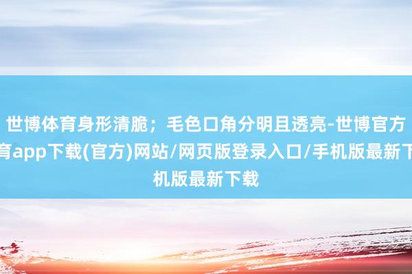 世博体育身形清脆；毛色口角分明且透亮-世博官方体育app下载(官方)网站/网页版登录入口/手机版最新下载