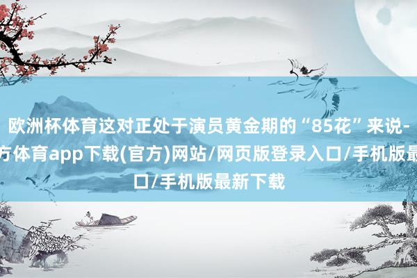 欧洲杯体育这对正处于演员黄金期的“85花”来说-世博官方体育app下载(官方)网站/网页版登录入口/手机版最新下载