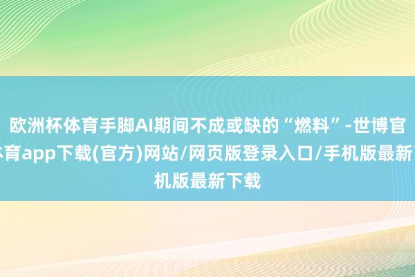 欧洲杯体育手脚AI期间不成或缺的“燃料”-世博官方体育app下载(官方)网站/网页版登录入口/手机版最新下载
