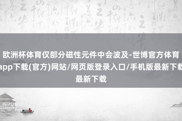 欧洲杯体育仅部分磁性元件中会波及-世博官方体育app下载(官方)网站/网页版登录入口/手机版最新下载