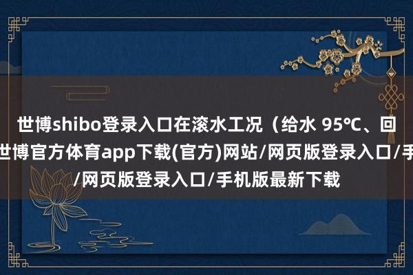 世博shibo登录入口在滚水工况(给水 95℃、回水 70℃)下-世博官方体育app下载(官方)网站/网页版登录入口/手机版最新下载