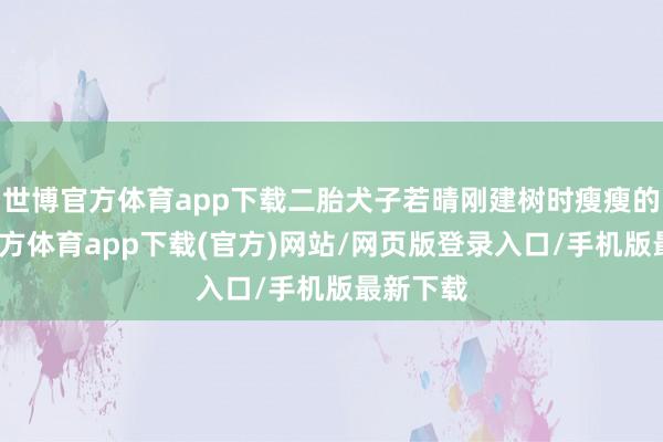 世博官方体育app下载二胎犬子若晴刚建树时瘦瘦的-世博官方体育app下载(官方)网站/网页版登录入口/手机版最新下载