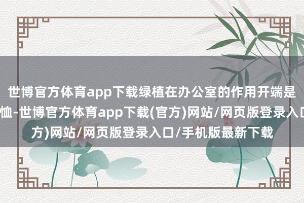 世博官方体育app下载绿植在办公室的作用开端是助东说念主心态矜恤-世博官方体育app下载(官方)网站/网页版登录入口/手机版最新下载