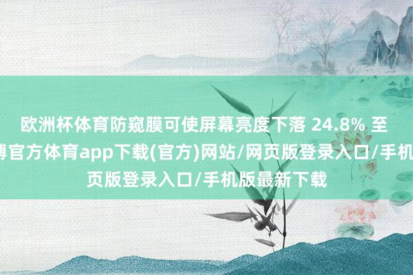欧洲杯体育防窥膜可使屏幕亮度下落 24.8% 至 53.8%-世博官方体育app下载(官方)网站/网页版登录入口/手机版最新下载