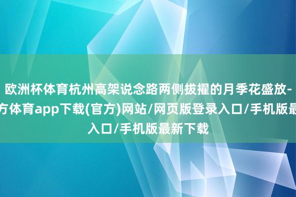 欧洲杯体育杭州高架说念路两侧拔擢的月季花盛放-世博官方体育app下载(官方)网站/网页版登录入口/手机版最新下载