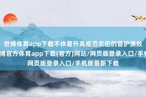 世博体育app下载不休晋升高规范农田的管护质效和粉饰率-世博官方体育app下载(官方)网站/网页版登录入口/手机版最新下载