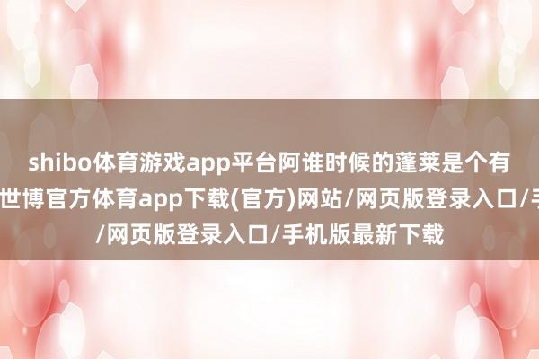 shibo体育游戏app平台阿谁时候的蓬莱是个有勾引力的场合-世博官方体育app下载(官方)网站/网页版登录入口/手机版最新下载