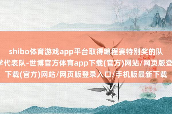 shibo体育游戏app平台取得编程赛特别奖的队列是：深圳做事技能大学代表队-世博官方体育app下载(官方)网站/网页版登录入口/手机版最新下载